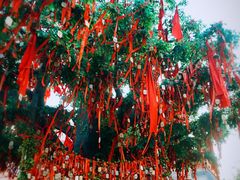 景点-芜湖方特东方神画