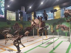 -国家自然博物馆