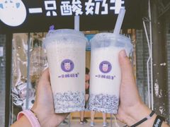-一只酸奶牛(八一路店)