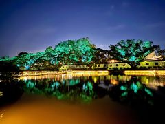 -江心屿景区