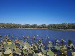 -素心小筑(后沙裕镇店)