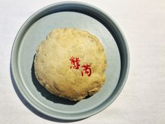 -态芮