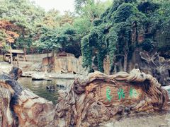 -燕塞湖鸟语林景区