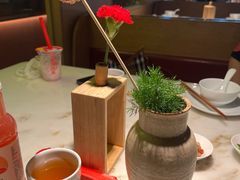 -初蓉丨遇见新川菜(亲贤街荣耀店)