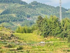 -紫鹊界梯田景区