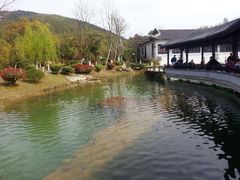 横山水库-横山水库