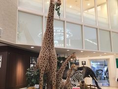-阪急百货店(梅田总店)