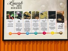 -巴厘岛黄金金兔咖啡工厂