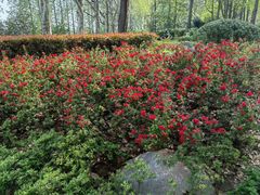 -玄武湖景区-情侣园游乐场