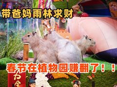 -正佳雨林生态植物园
