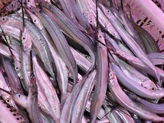 -荣泰市场(二马路店)