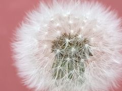 -渭河城市绿地运动公园