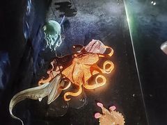 -同济大学四平路校区深海探索馆