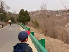 -白水寺森林公园