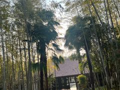 -求雨山文化公园