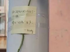 -山东艺术学院(长清校区)