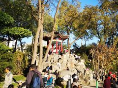 -莲湖公园