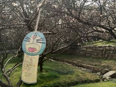 -香雪海