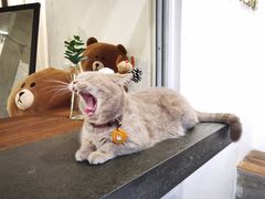 -MIMO CAFE(沙头角店)