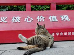 -张学良旧居陈列馆