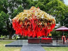 -狼山风景名胜区