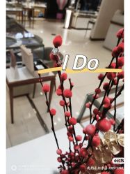 -I Do(齐齐哈尔新玛特购物广场店)