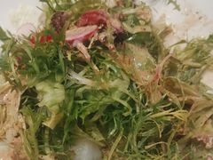 -邵年鸽(杨庄店)