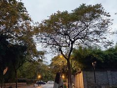 -杭州温德姆至尊豪廷大酒店