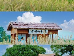 -良渚古城遗址公园