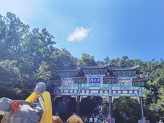 -老君山风景名胜区