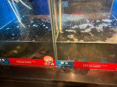 -鱼酷活鱼烤鱼(人信汇商场店)