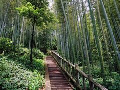 -蜀南竹海景区