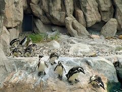 -上海野生动物园