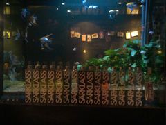 -Strawberry Butterfly草莓蝴蝶日式水果挞