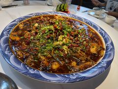 -新概念来凤鱼(璧山店)
