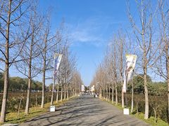 -汉景帝阳陵博物院