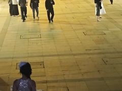 -武汉知音号