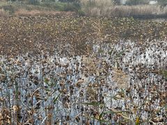 -南京市无想山景区