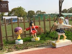 -上海长兴岛郊野公园