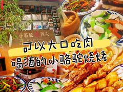 -福苗小骆驼烧烤(莲湖路店)