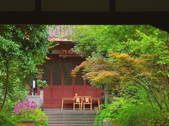 -青羊宫