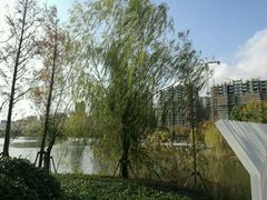 -南翔镇银翔湖公园