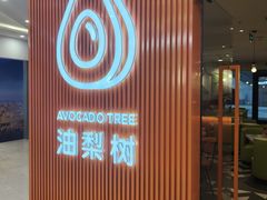 -油梨树 AVOCADO TREE(亮马桥店)