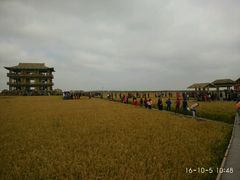-红海滩国家风景廊道