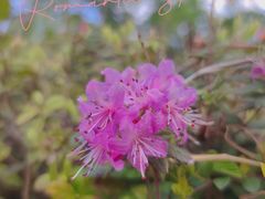 -名花谷生态庄园