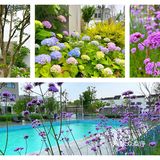 杨舍老街 张家港