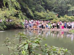 -岳麓山风景名胜区