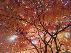 -大望京公园