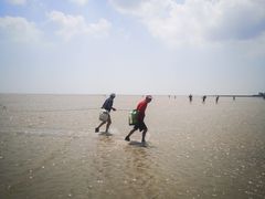 -南汇嘴观海公园