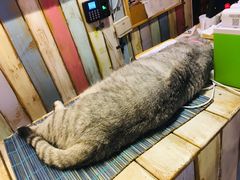 -小时光咖啡馆(开森度假森林店)